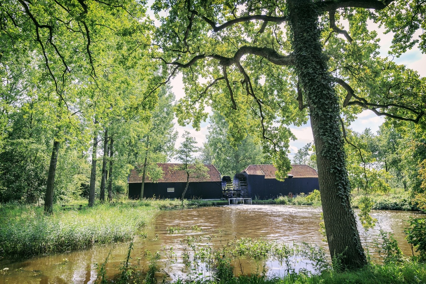Monumenten in de strijd tegen klimaatverandering ‘Niemand is tegen erfgoed’