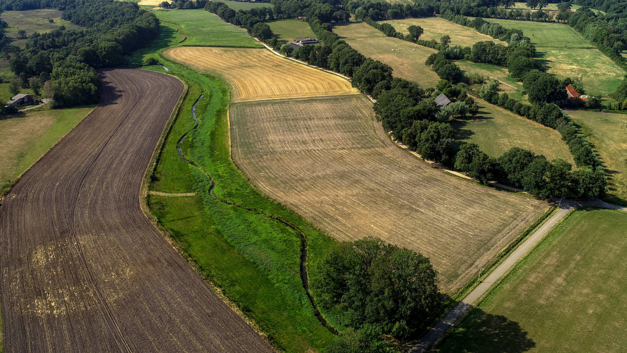 Schade door droogte aan tuinen bij kastelen en landgoederen