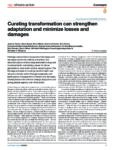 Curating transformation can strengthen adaptation and minimize losses and damages